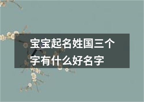 宝宝起名姓国三个字有什么好名字