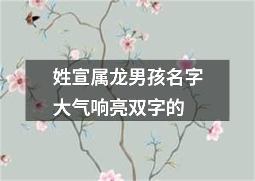 姓宣属龙男孩名字大气响亮双字的