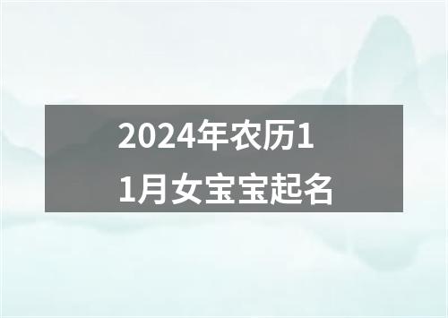 2024年农历11月女宝宝起名