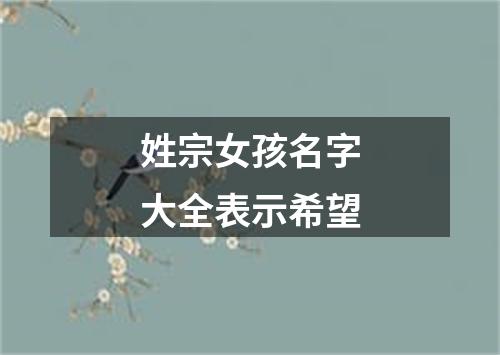 姓宗女孩名字大全表示希望