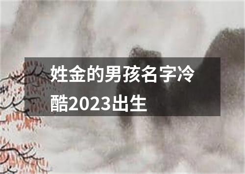 姓金的男孩名字冷酷2023出生