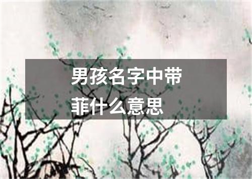 男孩名字中带菲什么意思