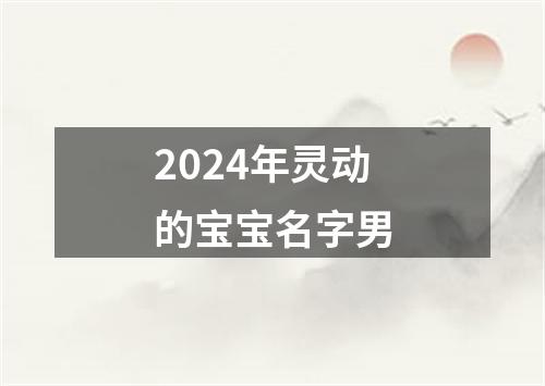 2024年灵动的宝宝名字男