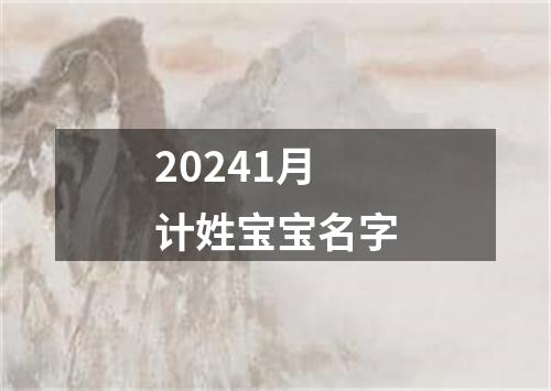 20241月计姓宝宝名字