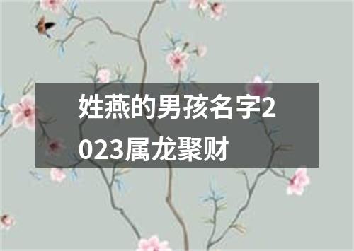 姓燕的男孩名字2023属龙聚财