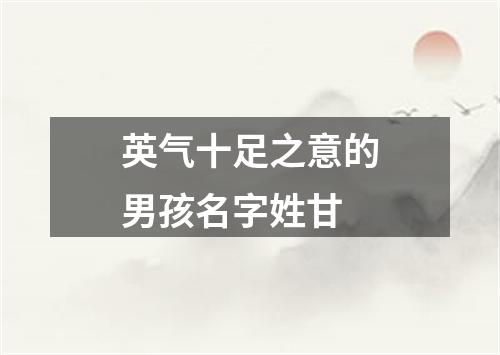 英气十足之意的男孩名字姓甘