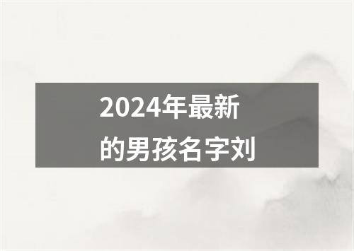 2024年最新的男孩名字刘