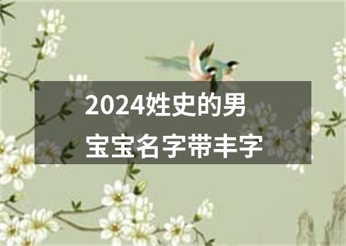 2024姓史的男宝宝名字带丰字