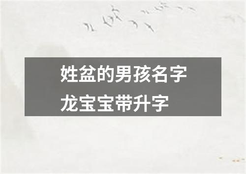 姓盆的男孩名字龙宝宝带升字