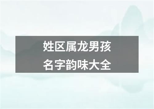 姓区属龙男孩名字韵味大全