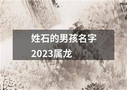 姓石的男孩名字2023属龙