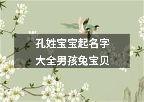 孔姓宝宝起名字大全男孩兔宝贝