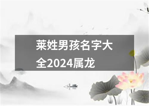 莱姓男孩名字大全2024属龙