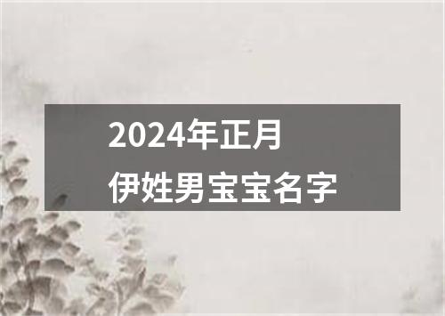 2024年正月伊姓男宝宝名字