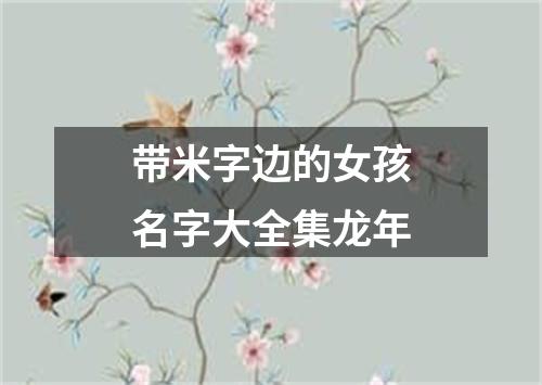 带米字边的女孩名字大全集龙年