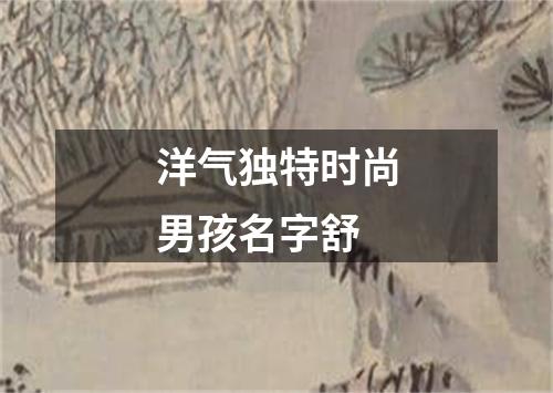 洋气独特时尚男孩名字舒