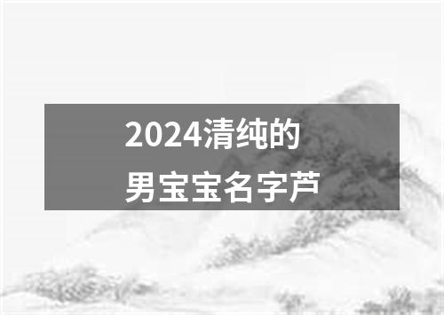 2024清纯的男宝宝名字芦