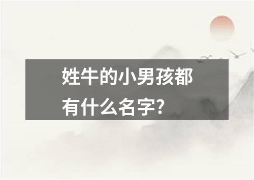 姓牛的小男孩都有什么名字?