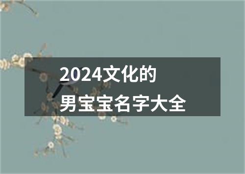 2024文化的男宝宝名字大全