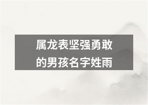 属龙表坚强勇敢的男孩名字姓雨