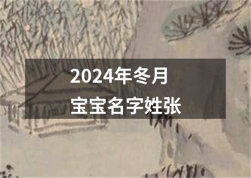 2024年冬月宝宝名字姓张