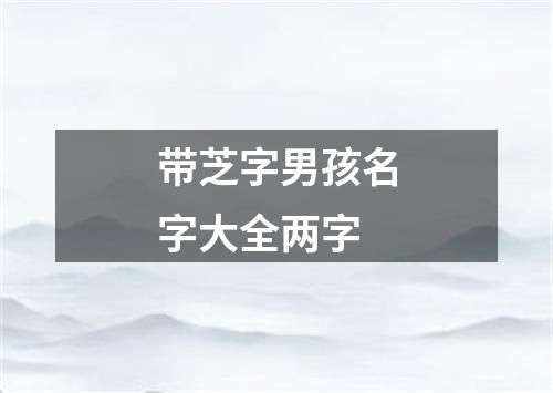 带芝字男孩名字大全两字