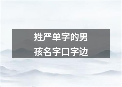 姓严单字的男孩名字口字边