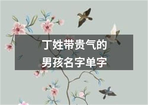 丁姓带贵气的男孩名字单字