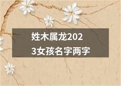 姓木属龙2023女孩名字两字