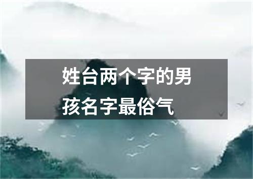 姓台两个字的男孩名字最俗气