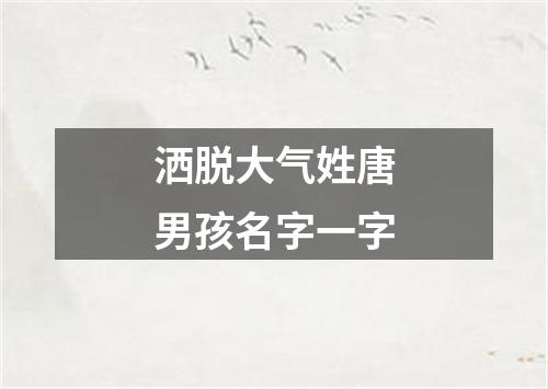 洒脱大气姓唐男孩名字一字