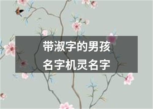 带淑字的男孩名字机灵名字