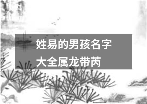 姓易的男孩名字大全属龙带芮