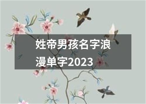 姓帝男孩名字浪漫单字2023