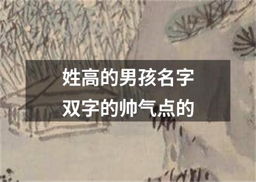 姓高的男孩名字双字的帅气点的