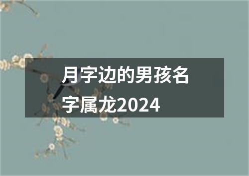 月字边的男孩名字属龙2024