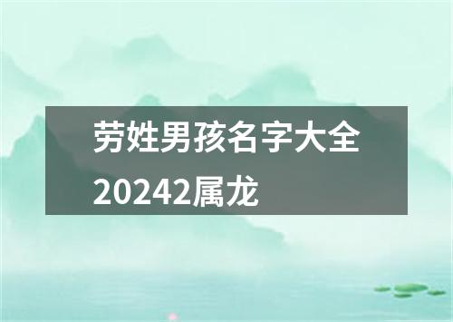 劳姓男孩名字大全20242属龙