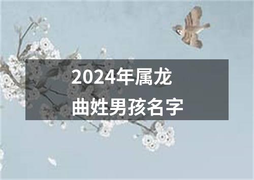 2024年属龙曲姓男孩名字