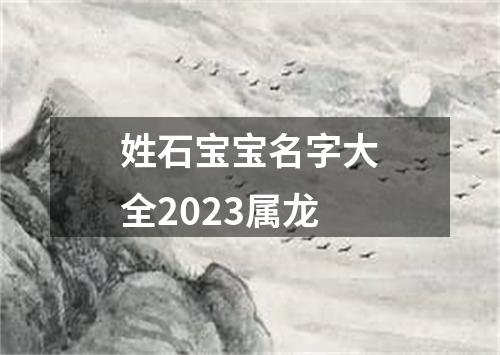 姓石宝宝名字大全2023属龙