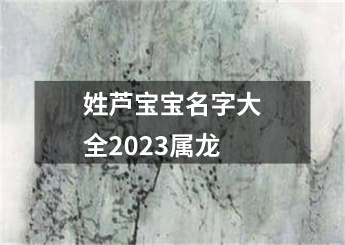 姓芦宝宝名字大全2023属龙