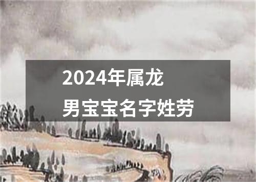 2024年属龙男宝宝名字姓劳