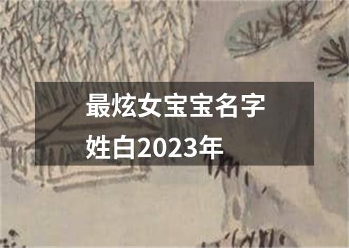 最炫女宝宝名字姓白2023年