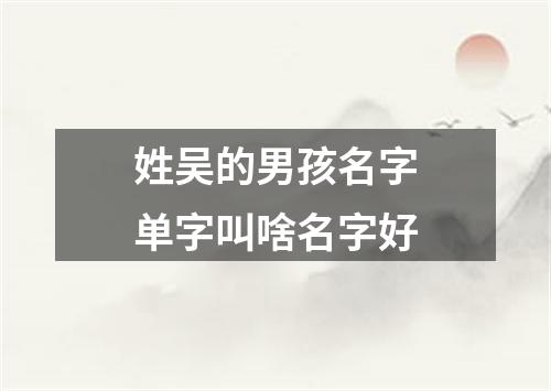 姓吴的男孩名字单字叫啥名字好