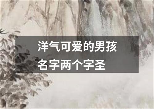 洋气可爱的男孩名字两个字圣