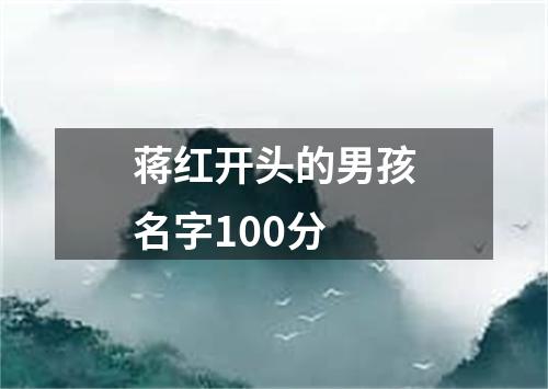 蒋红开头的男孩名字100分