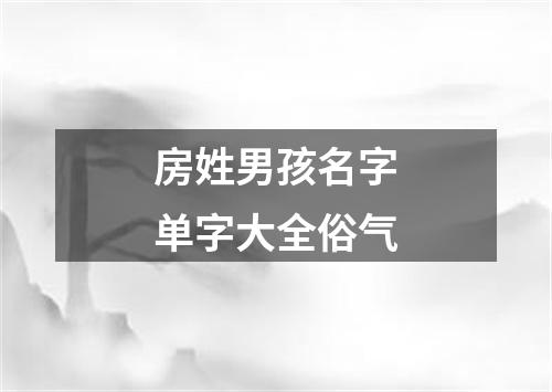 房姓男孩名字单字大全俗气