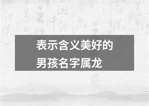 表示含义美好的男孩名字属龙