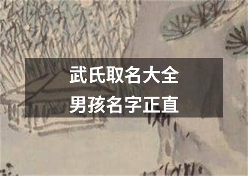 武氏取名大全男孩名字正直