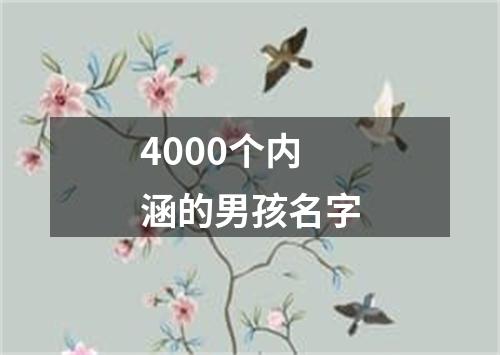 4000个内涵的男孩名字