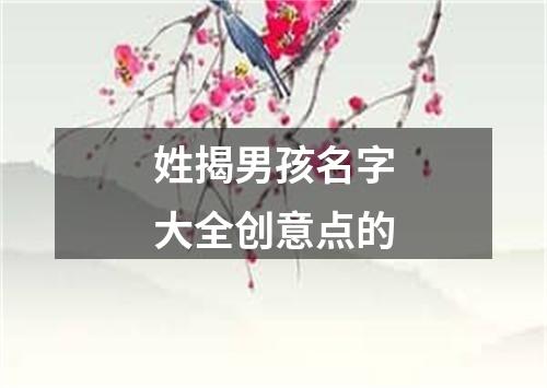 姓揭男孩名字大全创意点的